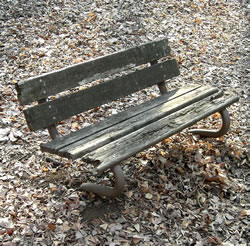 old bench.jpg